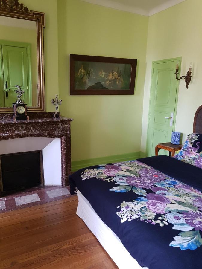 Chez Louise Bed & Breakfast Albi Exterior foto