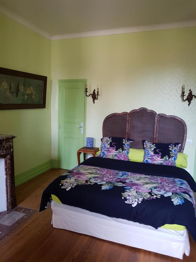 Chez Louise Bed & Breakfast Albi Exterior foto